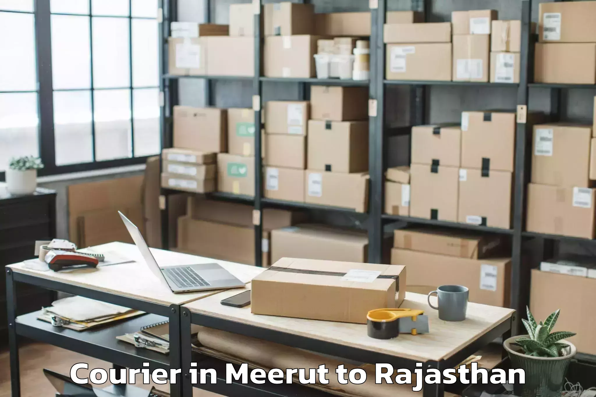 Trusted Meerut to The Iis University Jaipur Courier